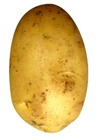 patata-5089279
