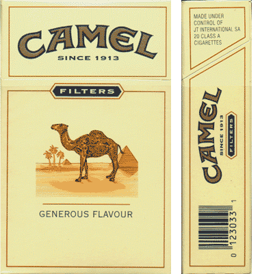 camel-4568228