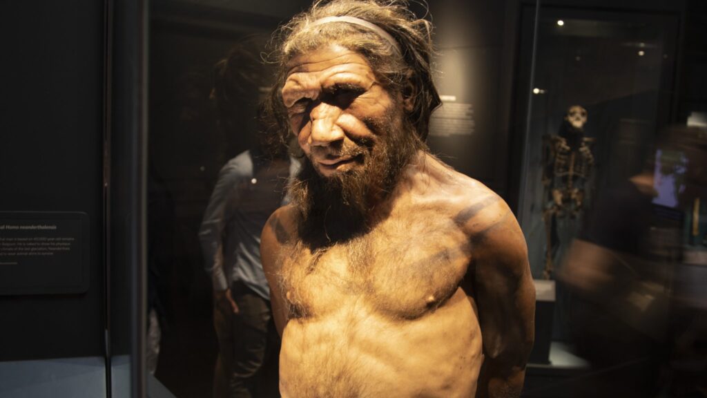 neandertal-como-vivieron-los-ultimos-individuos-de-la-especie-y